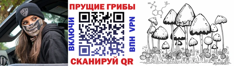 Псилоцибиновые грибы Psilocybe  где купить наркоту  Воронеж 